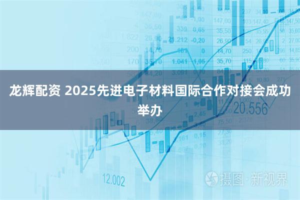龙辉配资 2025先进电子材料国际合作对接会成功举办