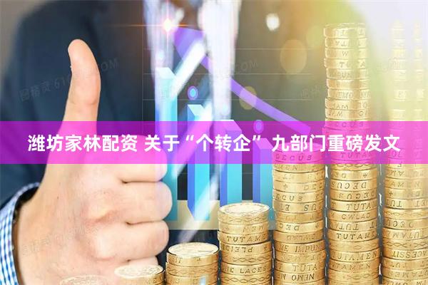 潍坊家林配资 关于“个转企” 九部门重磅发文