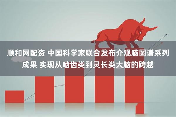 顺和网配资 中国科学家联合发布介观脑图谱系列成果 实现从啮齿类到灵长类大脑的跨越